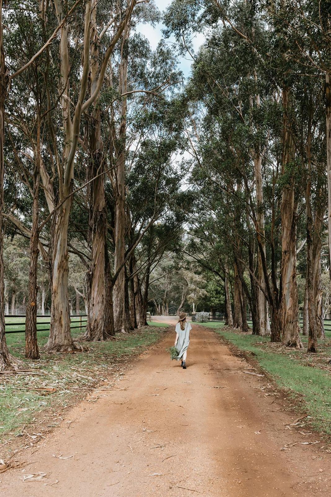 Chambre Estate Margaret River Exteriér fotografie