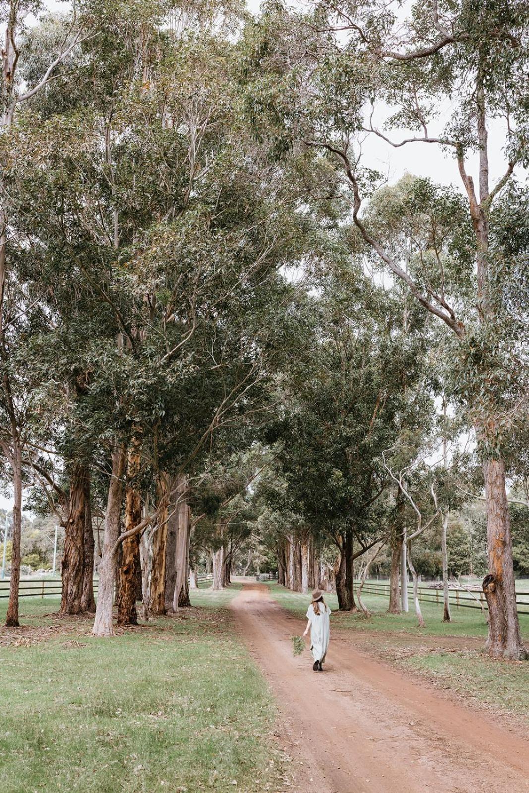Chambre Estate Margaret River Exteriér fotografie